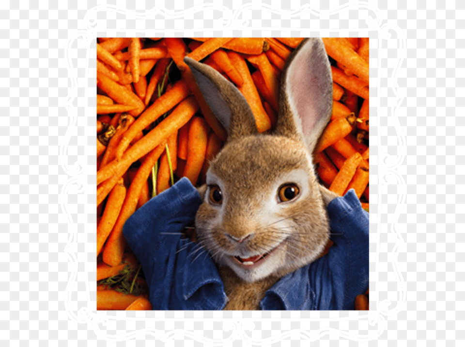 Peter Rabbit, Vegetable, Produce, Plant, Food Free Transparent Png