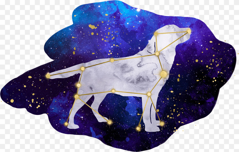 Dog Sitting, Accessories, Animal, Mammal Png Image