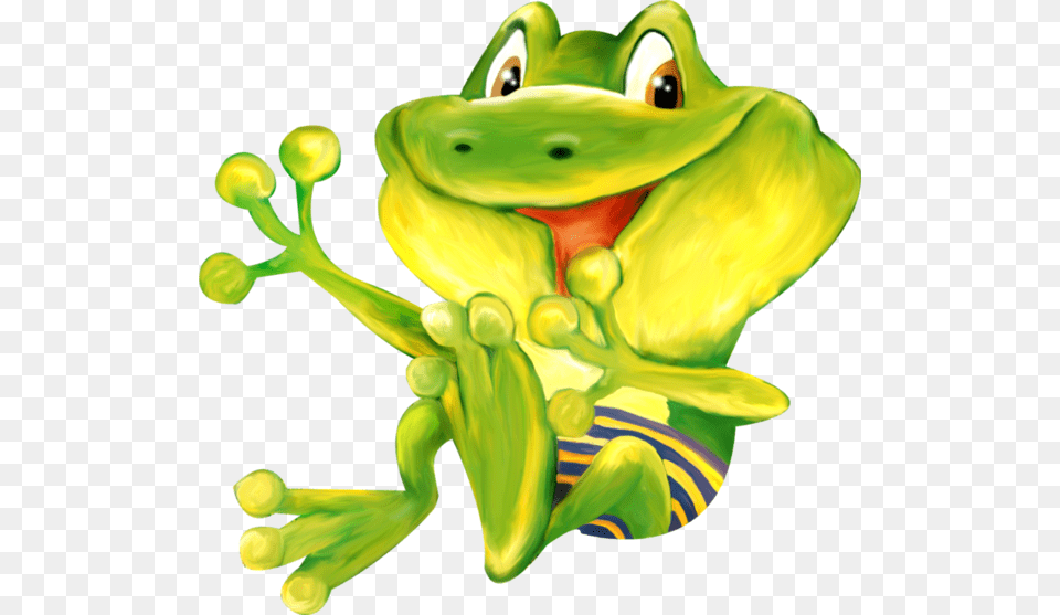 Frog, Amphibian, Animal, Wildlife, Tree Frog Png Image