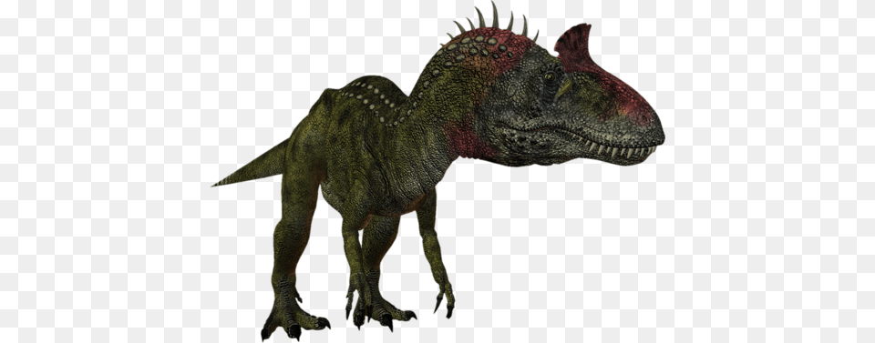 169fd0 A2494f6c L, Animal, Dinosaur, Reptile, T-rex Free Transparent Png