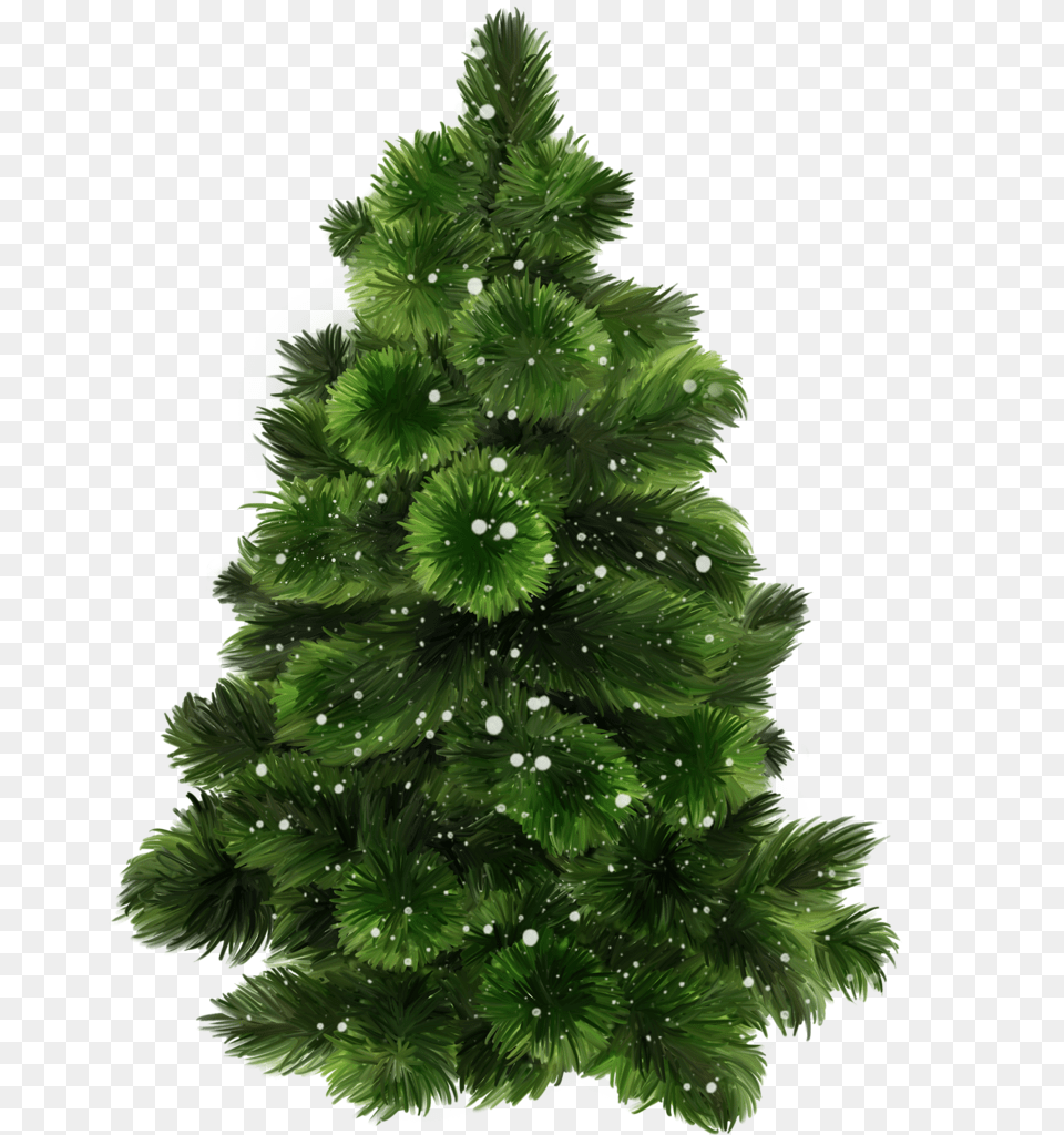 L Christmas Mix Xmas Tree Christmas Bonsai Tree With Transparent Background, Plant, Pine, Fir, Christmas Decorations Free Png Download
