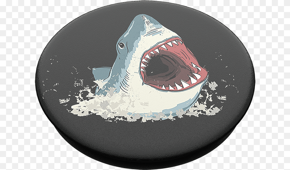 Great White Shark, Animal, Fish, Sea Life, Bird Png Image