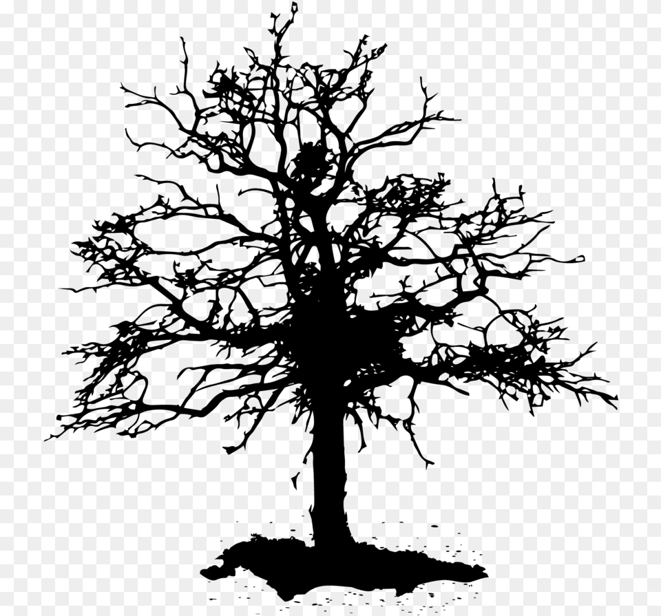 Dead Tree, Gray Png