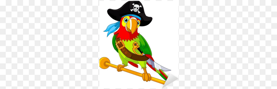Pirate Parrot, Nature, Outdoors, Snow, Snowman Free Png