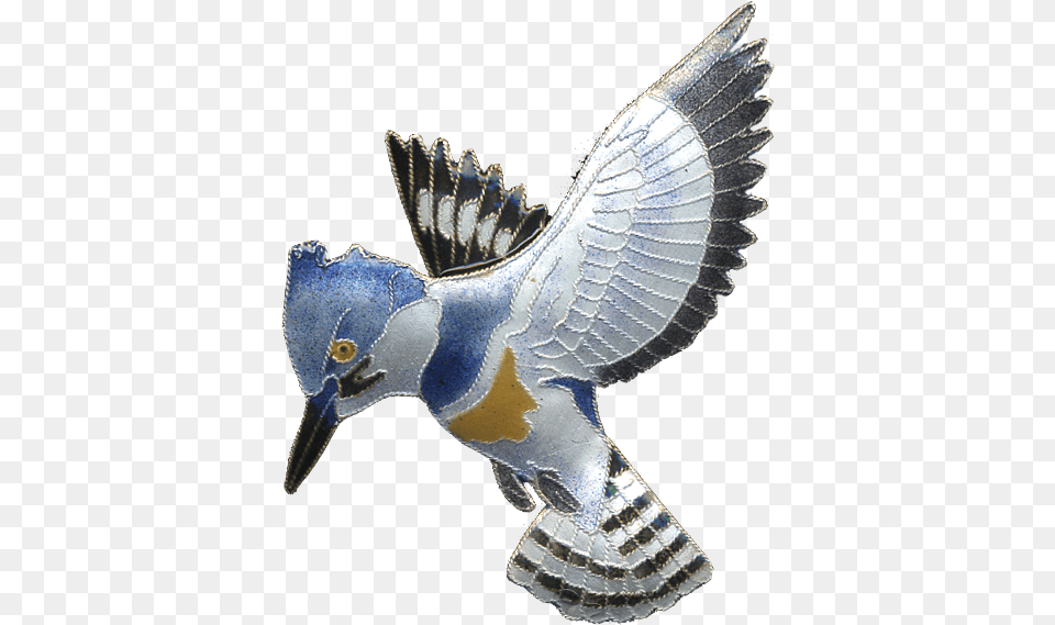 Android Animal, Bird, Jay, Blue Jay Free Png Download