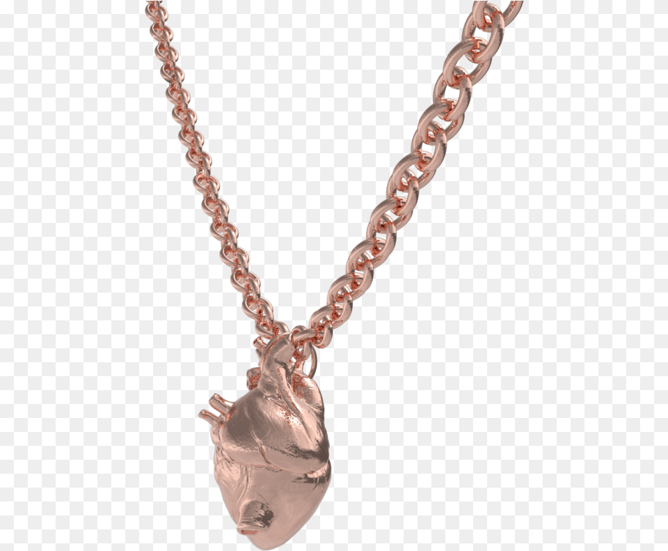 Anatomical Heart, Accessories, Jewelry, Necklace, Diamond Free Png