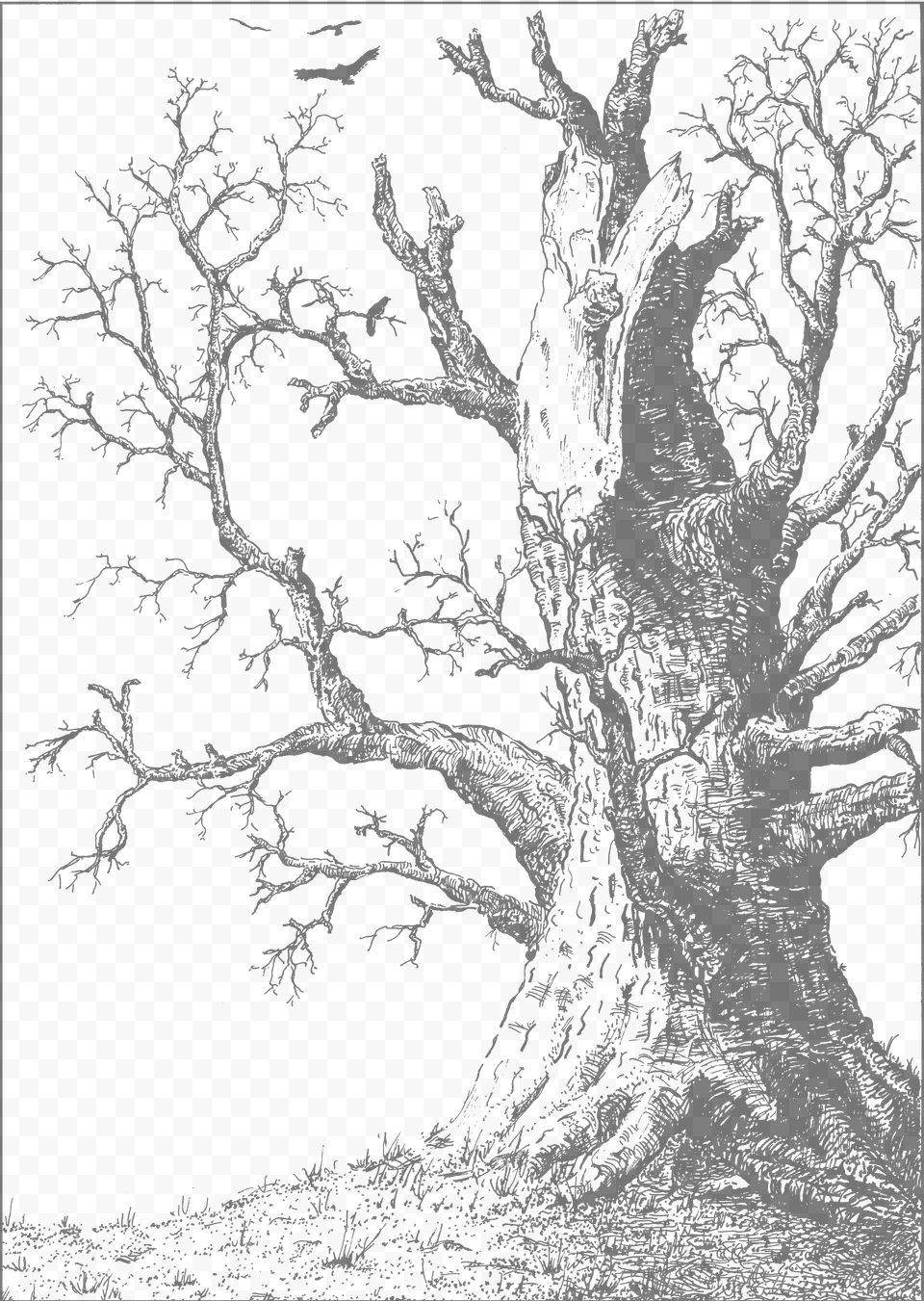 18th February Drawing, Art, Plant, Tree, Person Free Transparent Png
