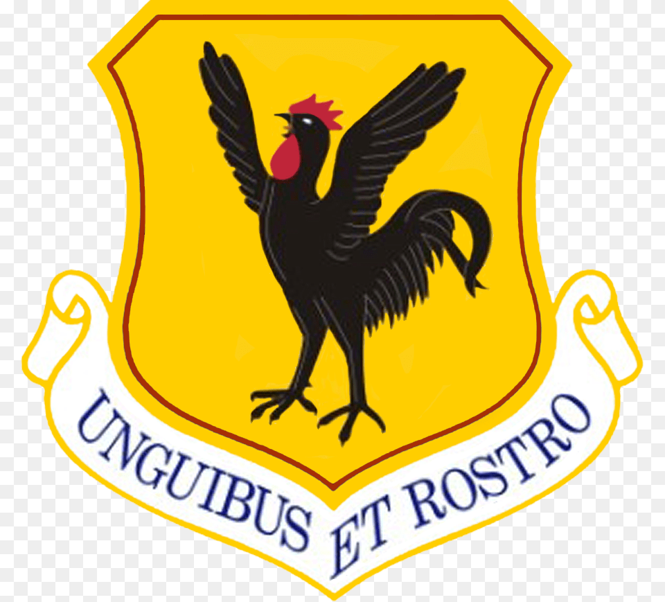 18th Wing 12th Flying Training Wing, Animal, Bird, Logo, Symbol Png Image