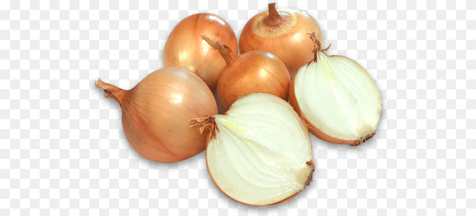 Onions, Food, Produce, Onion, Plant Free Png