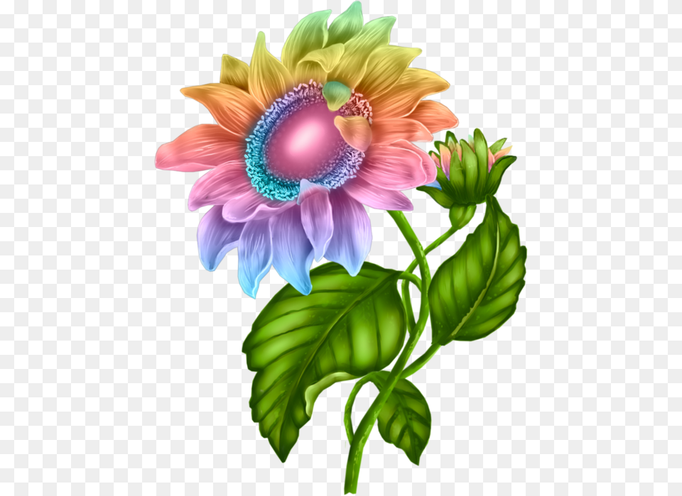 194d54 56f9a182 Orig Vintage Diy Vector Design Colored Sunflowers Clipart, Anemone, Dahlia, Flower, Plant Free Png Download