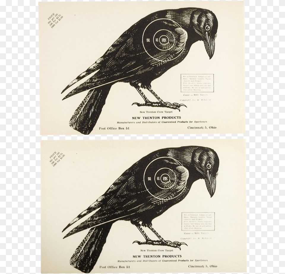 1960s Vintage Crow Raven Paper Targets, Animal, Bird, Blackbird Png Image