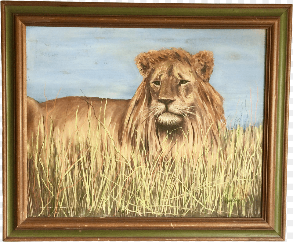 1980s Henri Bivens Original Lion Painting For Sale Picture Frame Free Png Download