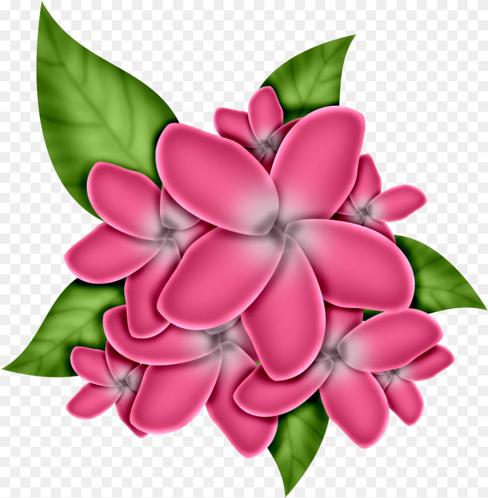 1a507c 18d9300d Orig Flower Clipart Diy Flowers Diy Flower Clip Art, Dahlia, Petal, Plant, Geranium Png Image