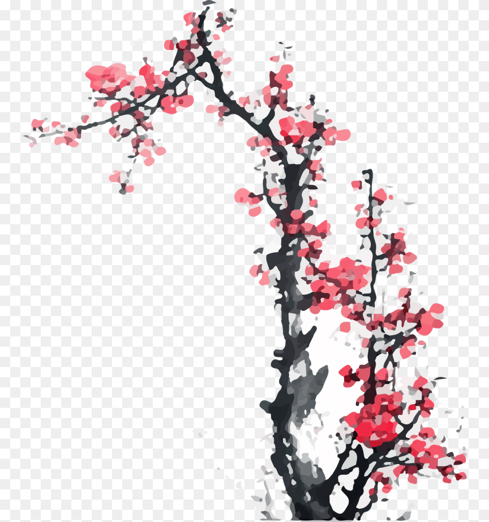 1st Gen Tet Chinese Plum Blossom Painting, Plant, Flower, Cherry Blossom, Adult Free Png Download