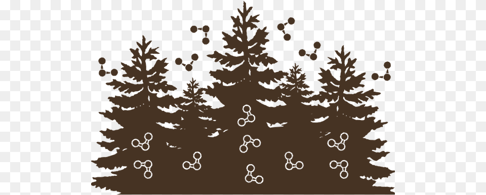2 Black Silhouette Pine Trees, Plant, Tree, Fir, Conifer Free Transparent Png