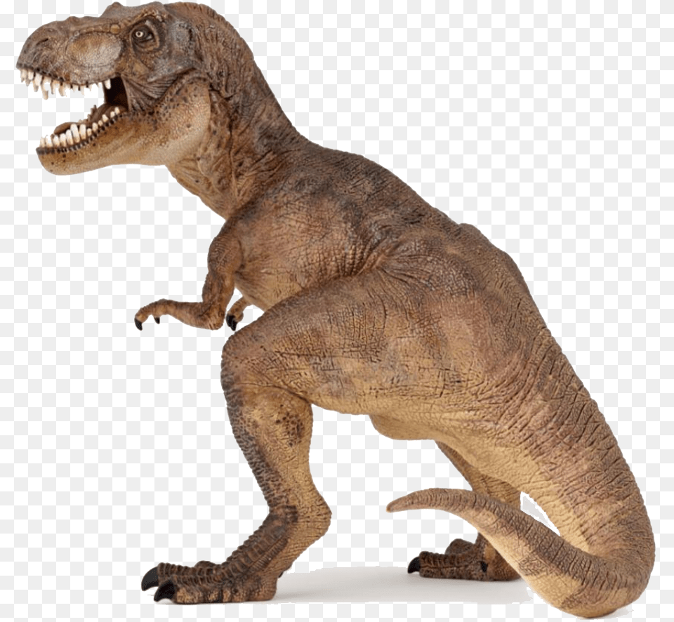 2 Dinosaur, Animal, Reptile, T-rex Png Image