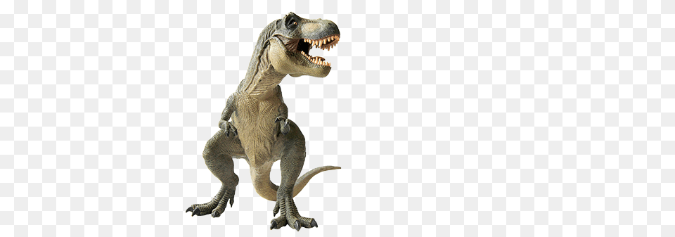 2 Dinosaur High Quality, Animal, Reptile, T-rex Png Image