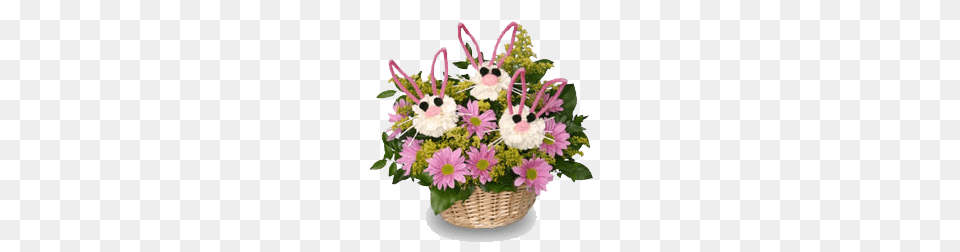 2 Easter Flower Free Download, Daisy, Flower Arrangement, Flower Bouquet, Plant Png Image