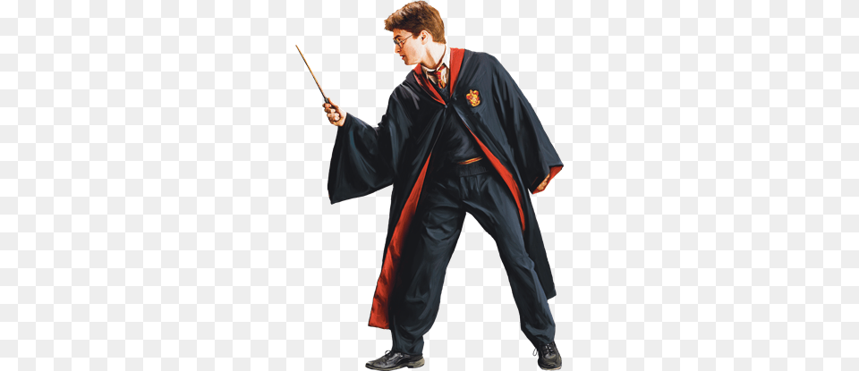 2 Harry Potter Picture, Adult, Male, Man, Person Free Transparent Png
