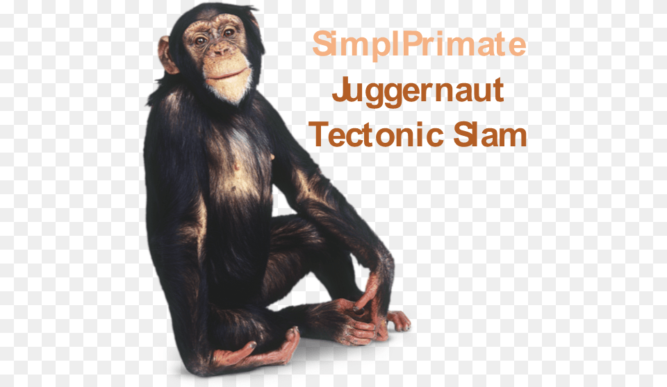 2 Juggernaut Tectonic Slam 1 1 Mil Dps, Animal, Mammal, Monkey, Wildlife Free Transparent Png