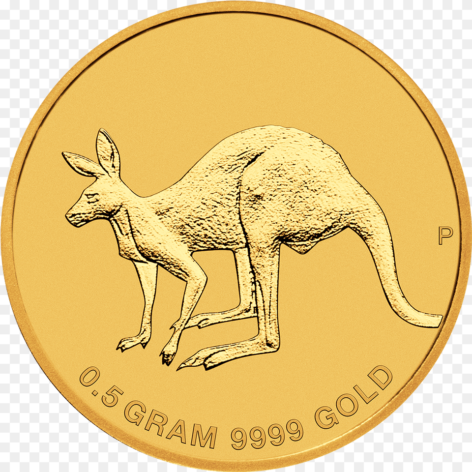 2 Mini Roo 2019, Animal, Kangaroo, Mammal Png Image