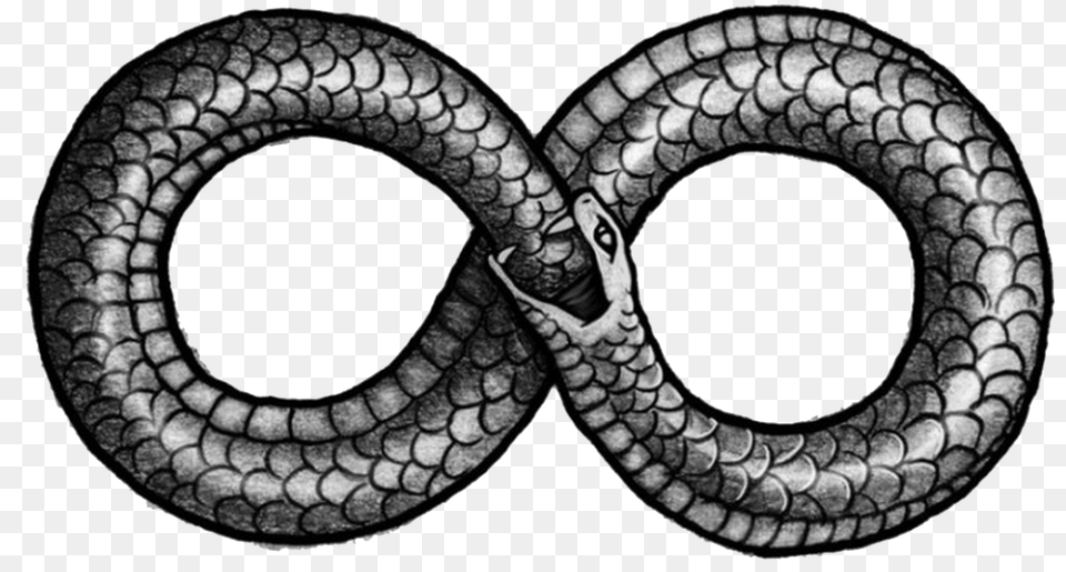 2 Ouroboros Picture, Animal, Reptile, Snake, Tire Png Image