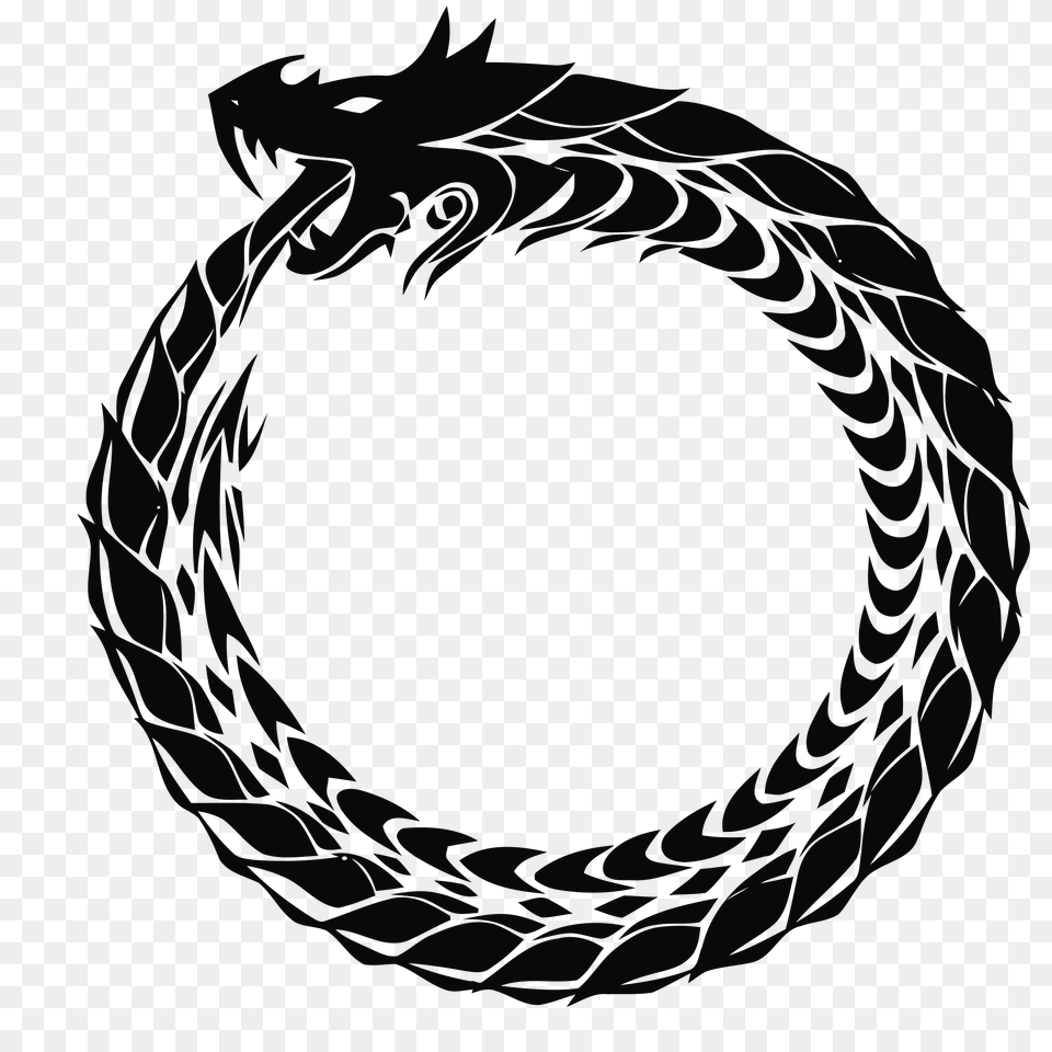 2 Ouroboros Transparent Png Image