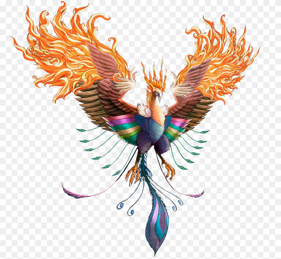 2 Phoenix Image, Plant Png