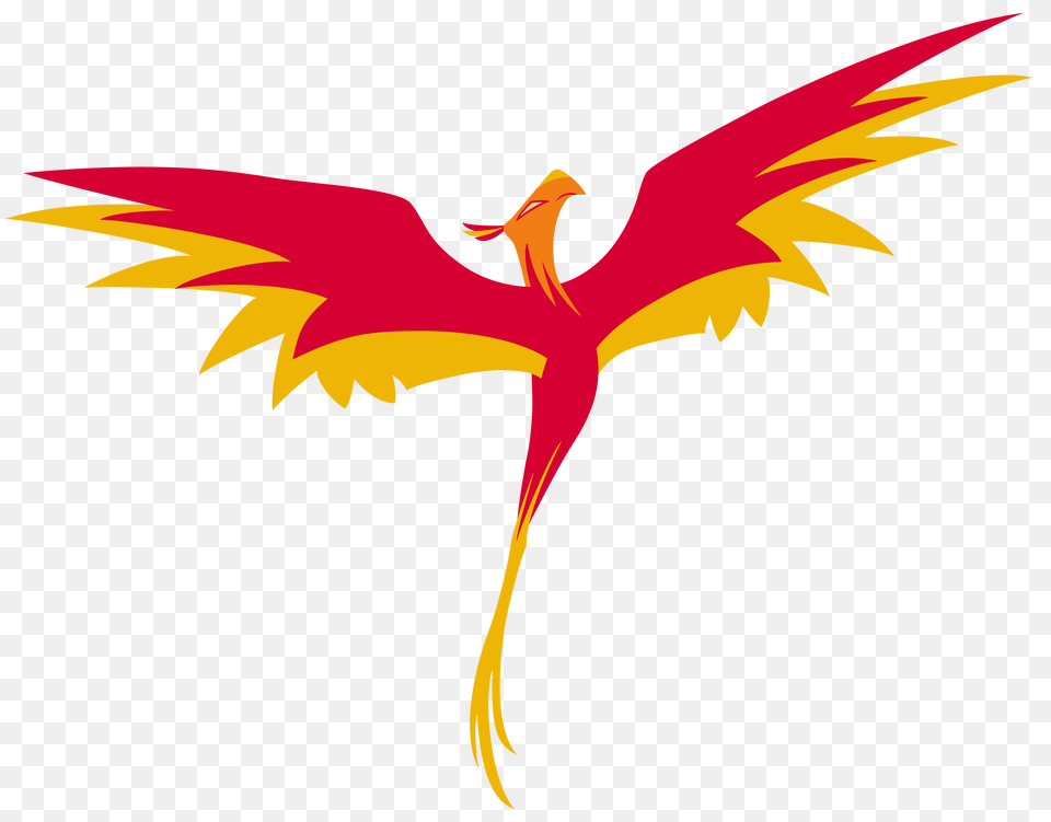 2 Phoenix Picture, Leaf, Plant, Tree Png Image