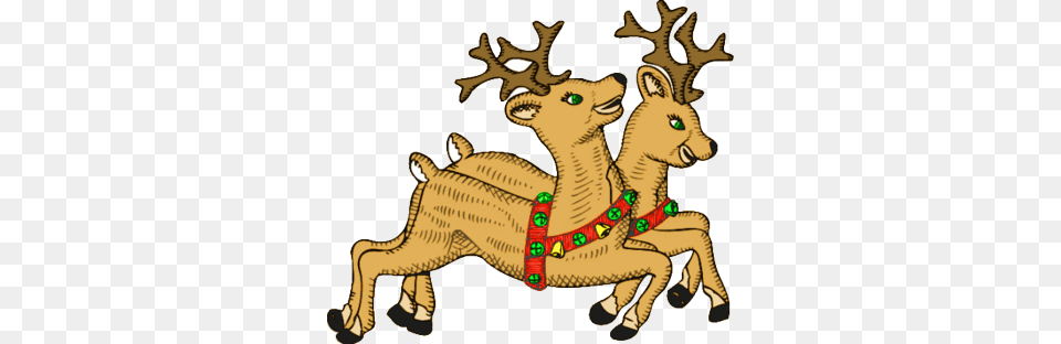 2 Reindeer Image, Animal, Lion, Mammal, Wildlife Free Png