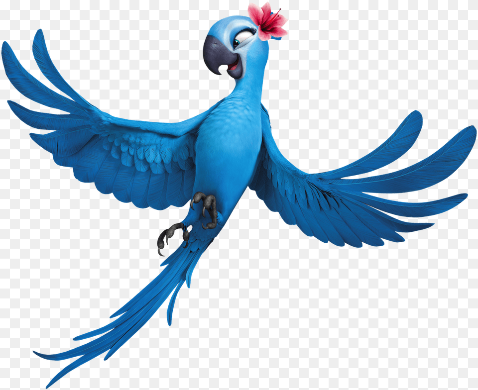 2 Rio Rio Jewel, Animal, Bird, Parrot Png Image