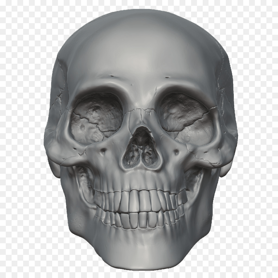 2 Skeleton Head Person, Face, Baby Free Png Download
