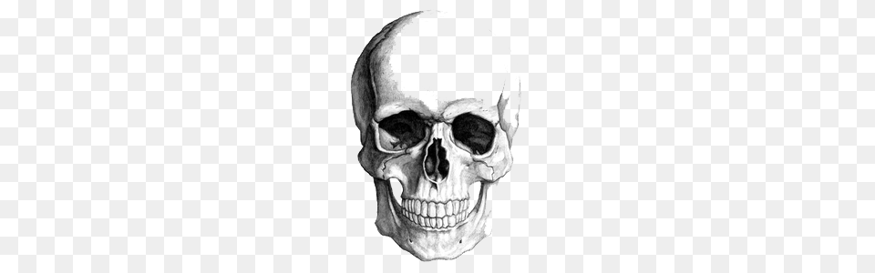 2 Skeleton Head Picture, Art, Drawing, Person, Face Png