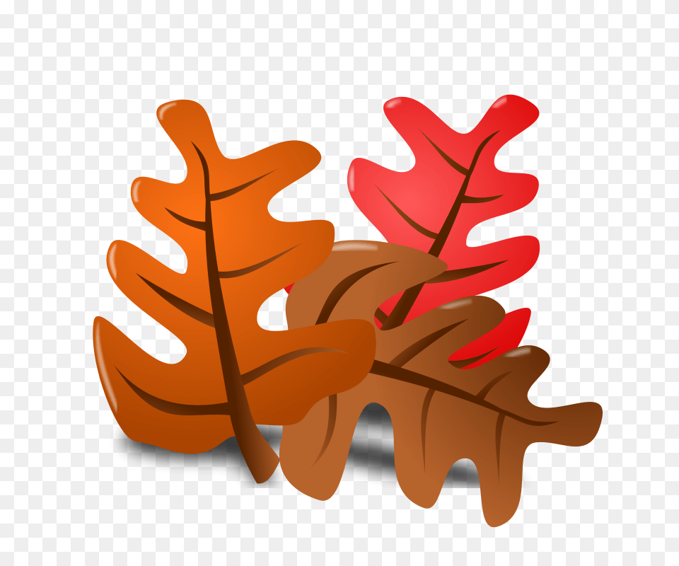2 Thanksgiving Picture, Leaf, Plant, Tree, Food Free Png