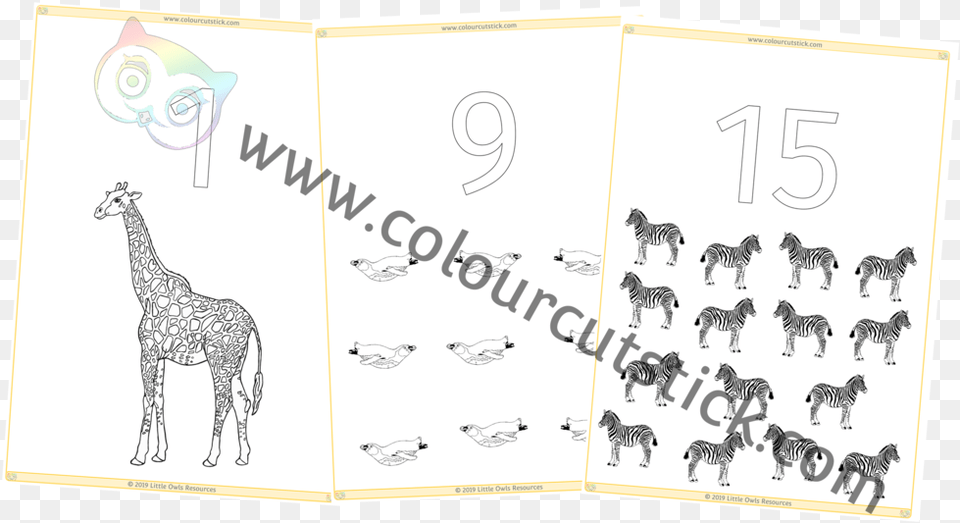 20 Count Zoo Animals Colouring Ccs Cover Giraffe, Animal, Mammal, Wildlife, Zebra Free Transparent Png