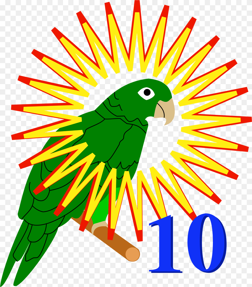 2000 X 2250 1 Kymmenen Pistett Ja Papukaijamerkki, Animal, Bird, Parrot, Parakeet Free Png