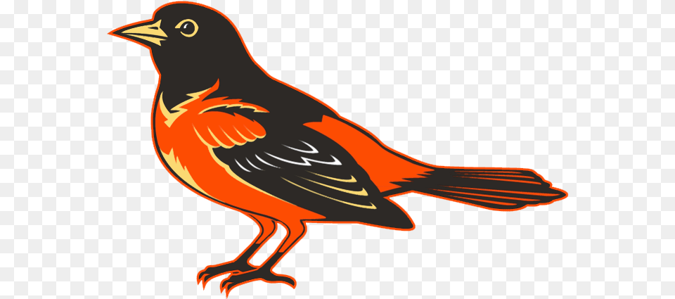 2004 Baltimore Orioles Team U0026 Player Stats Statmuse Baltimore Oriole Bird, Animal, Beak, Finch, Blackbird Free Png Download