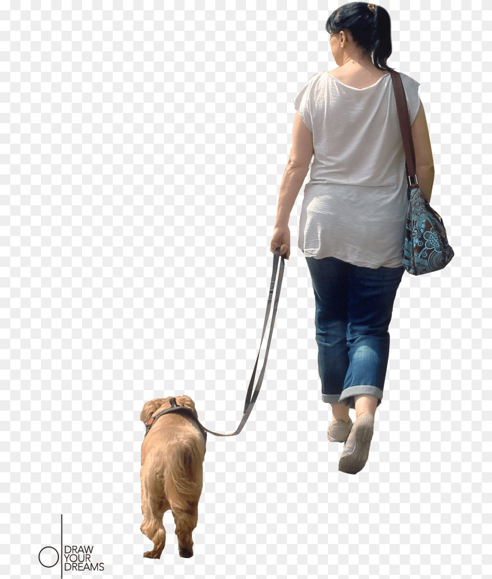 2010 Drawyourdreams Dog Walking Full Size Download Personas En Planta, Accessories, Person, Pants, Man Png Image