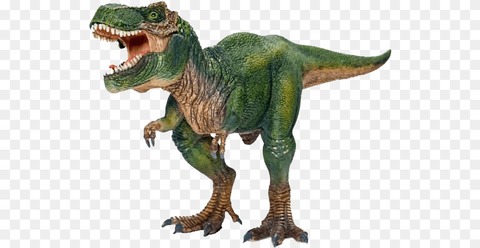 2012 Schleichtyrannosaurus With Movable Jaw, Animal, Dinosaur, Reptile, T-rex Free Transparent Png