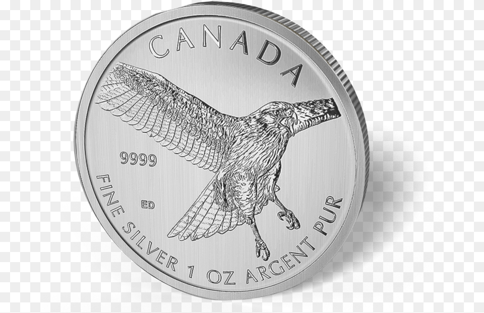 2015 Canadian 1oz Silver Red Tailed Hawk 5 Coin, Animal, Bird, Money Free Transparent Png