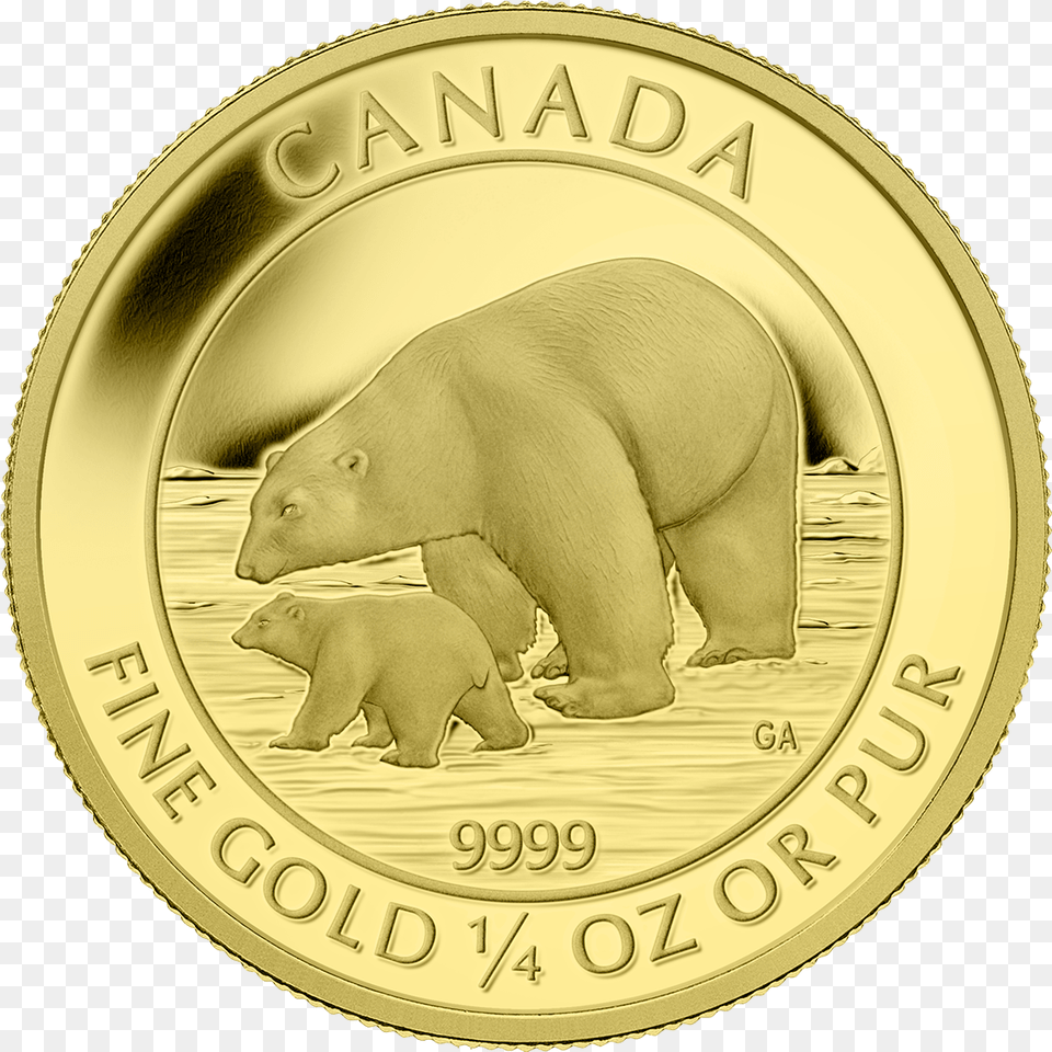 2015 Canadian Gold Coin Polar Bear And Cub, Animal, Mammal, Wildlife, Money Free Png Download