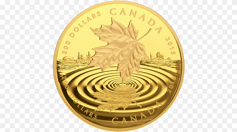 2015 Maple Leaf Reflection, Plant, Gold Free Transparent Png