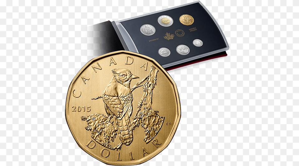 2015 Royal Canadian Mint 2016 Canadian Specimen Coin Set, Gold, Animal, Bird, Money Free Png Download