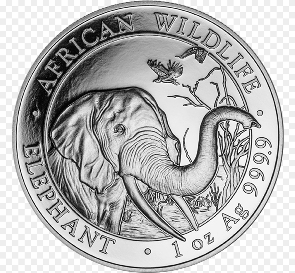 2015 Somalia Silver Elephant Coin, Money, Animal, Mammal, Wildlife Png