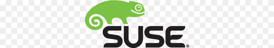 Linux Logo, Animal, Lizard, Reptile, Green Lizard Free Png
