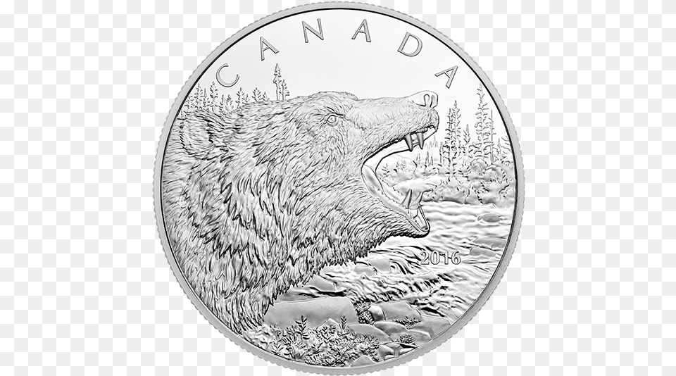 2016 12 Kilogram Fine Silver Coin Roaring Grizzly Coin, Animal, Bear, Mammal, Wildlife Png Image