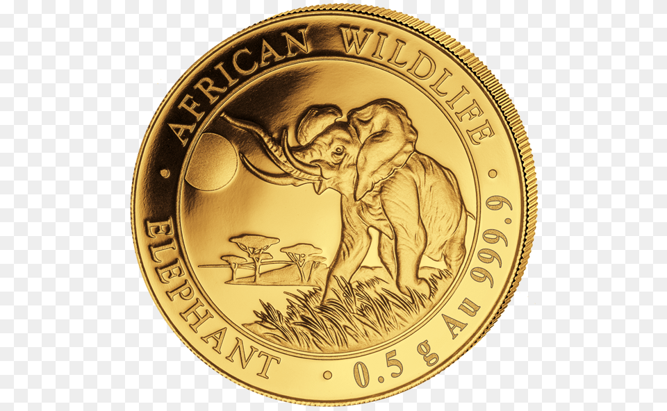 2016 20 Sh 150 Oz Gold Somalian Elephant 2018, Person, Coin, Money Free Png Download