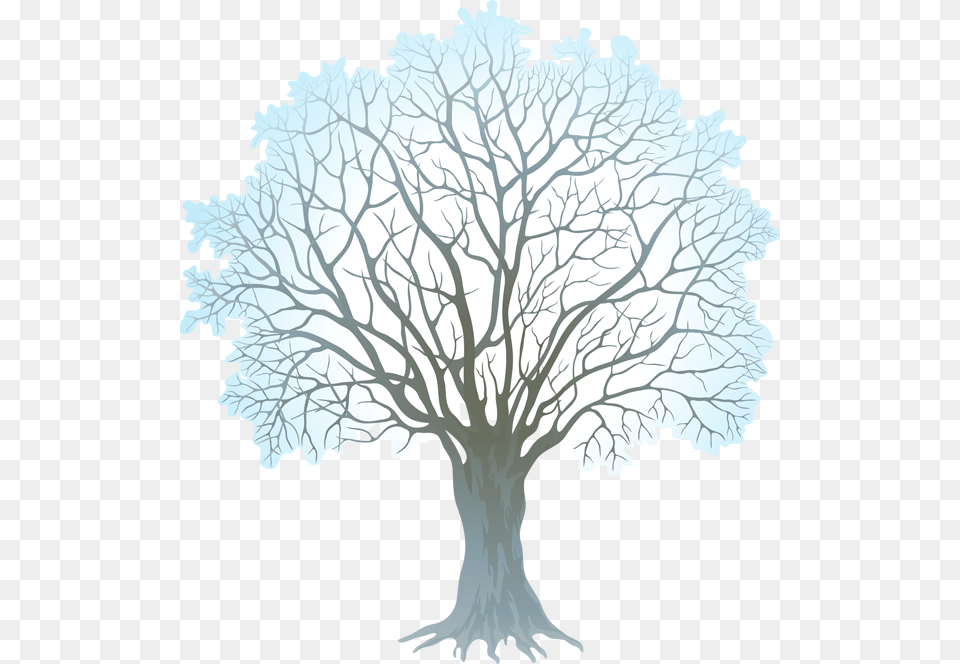 2016 Dbclipart Clipartall Winter Tree Clipart, Plant, Art, Tree Trunk, Drawing Free Transparent Png