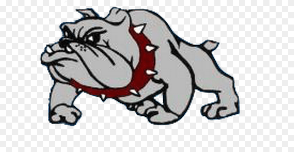 2016 Football Preview Nash Central Bulldogs Raleigh Bulldog Nash Central High School, Animal, Canine, Dog, Mammal Png