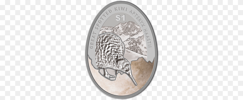 2016 Kiwi Silver Specimen Coin Kiwi, Animal, Bird, Kiwi Bird, Money Free Png Download